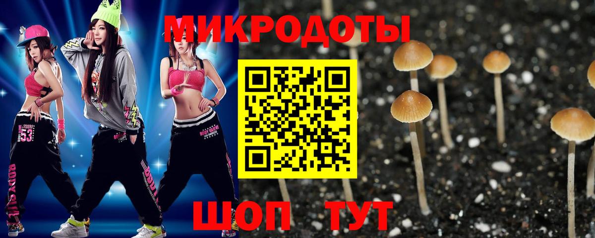Кирово-Чепецк  Псилоцибиновые грибы мицелий  Вход с VPN 